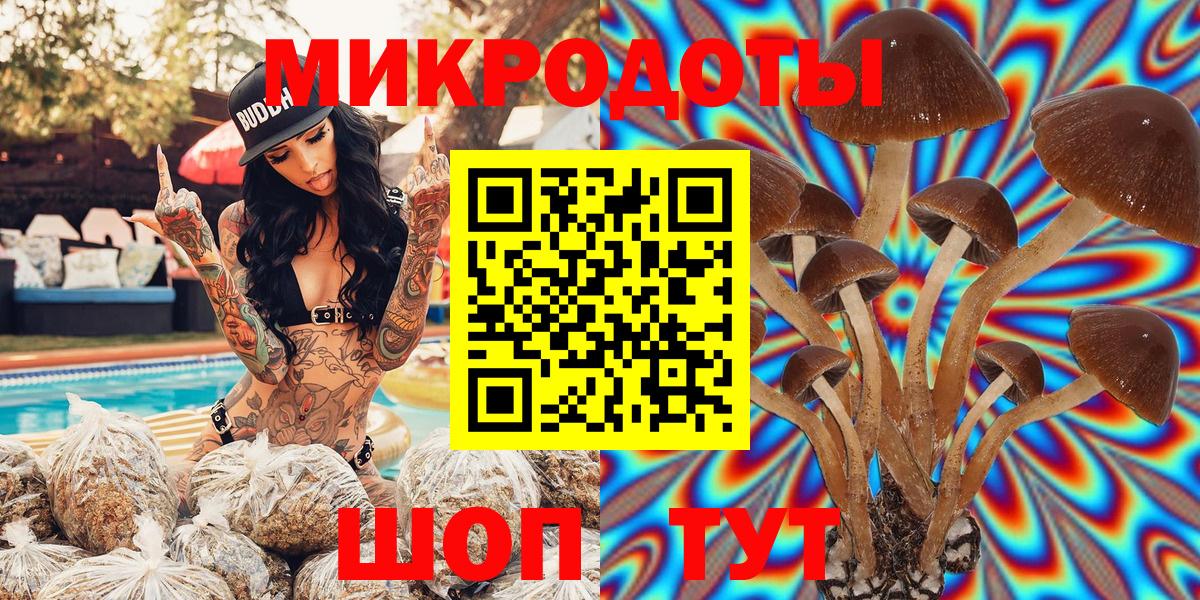 закладки  Псилоцибиновые грибы Psilocybe  Вход с VPN  Галлюциногенные грибы Magic Shrooms  Домодедово 